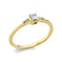 Solitaire mit Besatz Ring