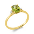 Farbstein Fashion Ring