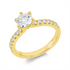 Solitaire mit Besatz Ring