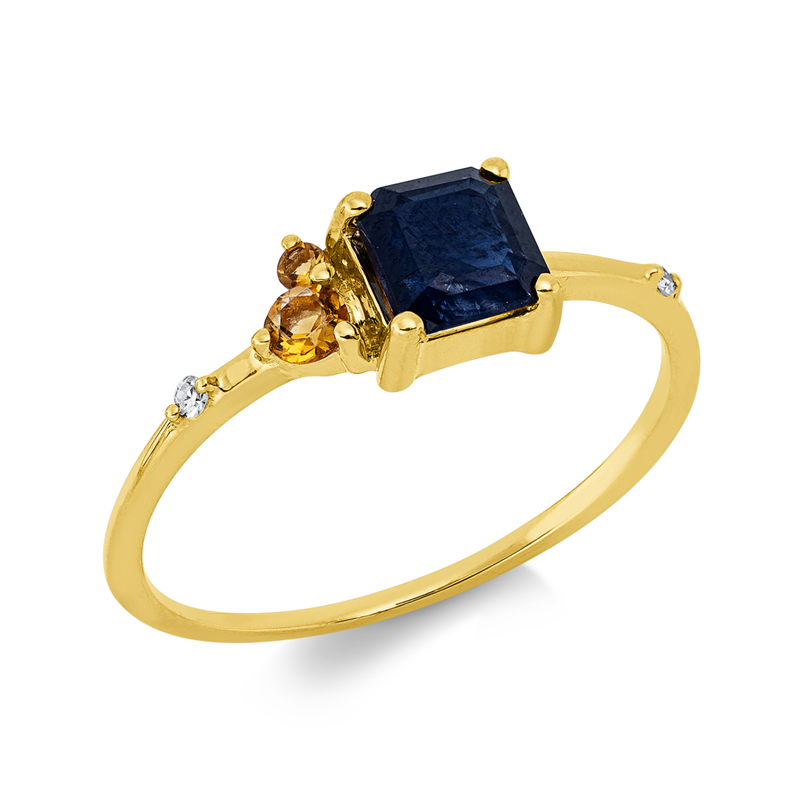 Farbstein Classic Ring