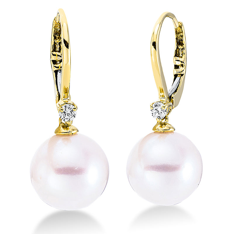 Perle Ohrschmuck