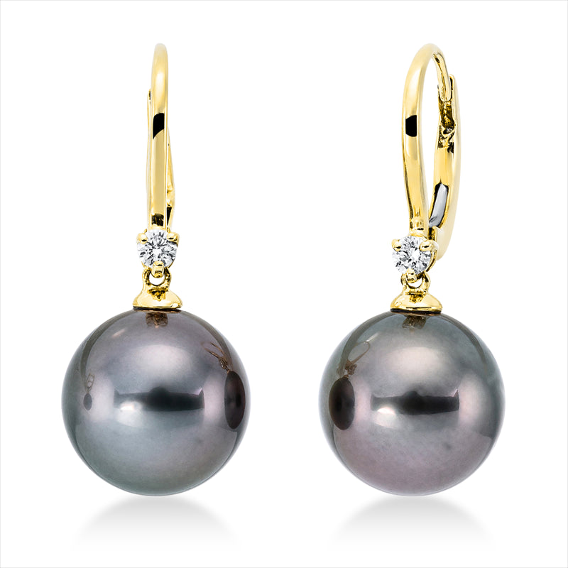Perle Ohrschmuck