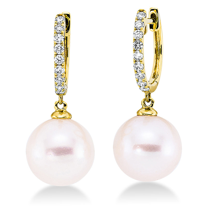 Perle Ohrschmuck