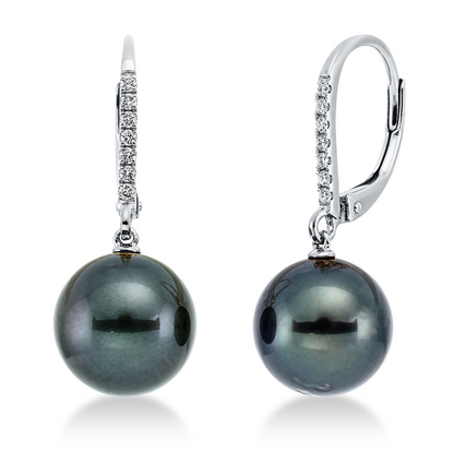 Perle Ohrschmuck