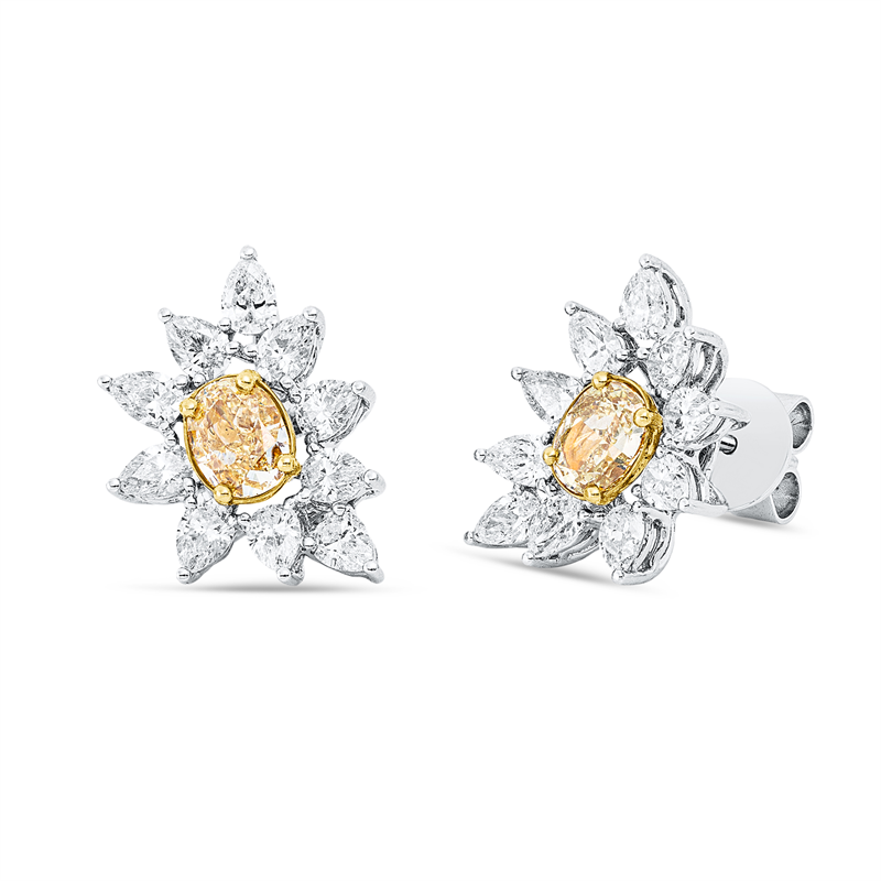 Farbiger Diamant Ohrschmuck