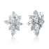 Exklusiv Ohrschmuck