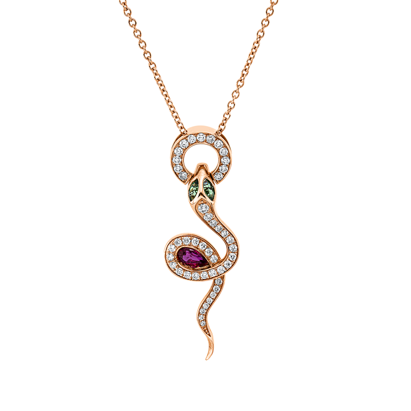 Tier Collier
